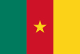 Kamerun Flaga państwowa