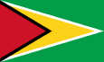Guyana Nationalflagge